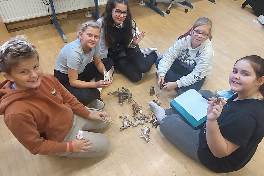 Schüler*innen der 1a Klasse werden zu Zoologen: Tierwelt neu geordnet!