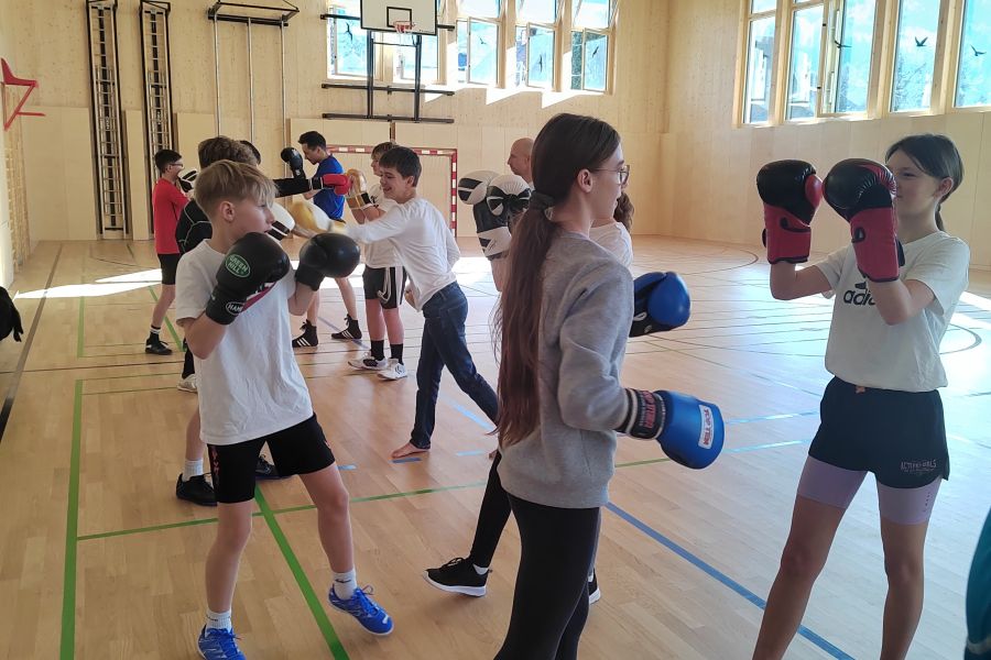 Schwerpunkt Sport: Boxen mit den Profis