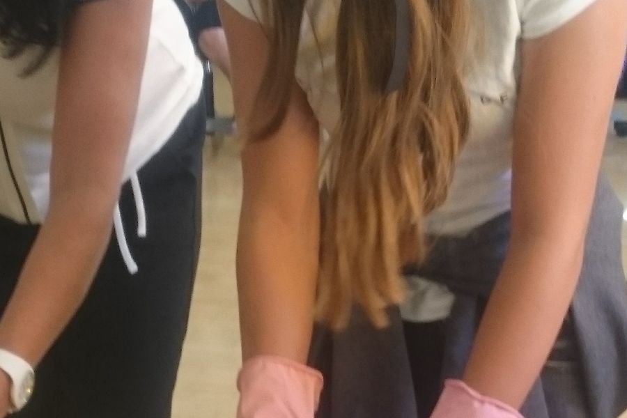 „BO-Marathon“ – Berufsorientierung intensiv für die 4. Klassen