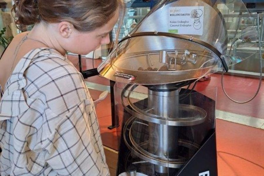 Riegersburg Exkursion